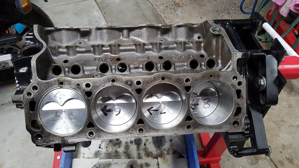 Mustang 347